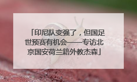 印尼队变强了，但国足世预赛有机会——专访北京国安荷兰籍外教杰森