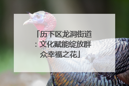 历下区龙洞街道：文化赋能绽放群众幸福之花