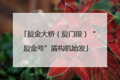 厦金大桥（厦门段）“厦金号”盾构机始发
