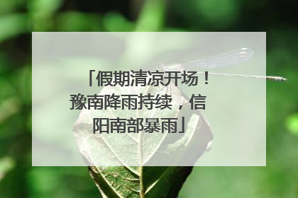 假期清凉开场！豫南降雨持续，信阳南部暴雨