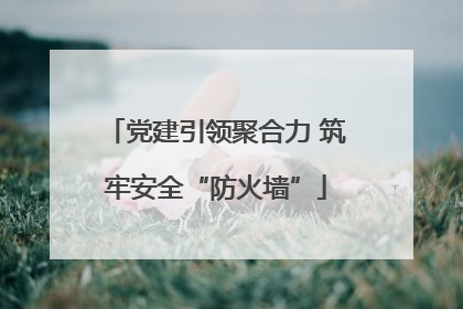 党建引领聚合力 筑牢安全“防火墙”