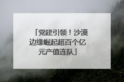党建引领！沙漠边缘崛起超百个亿元产值连队