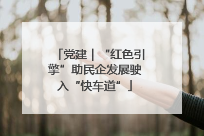 党建｜“红色引擎”助民企发展驶入“快车道”