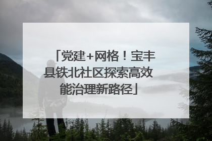 党建+网格！宝丰县铁北社区探索高效能治理新路径