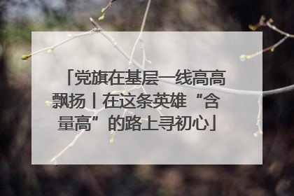 党旗在基层一线高高飘扬丨在这条英雄“含量高”的路上寻初心