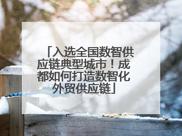 入选全国数智供应链典型城市！成都如何打造数智化外贸供应链