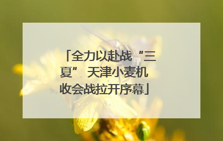 全力以赴战“三夏” 天津小麦机收会战拉开序幕