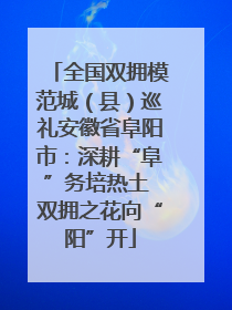 全国双拥模范城（县）巡礼安徽省阜阳市：深耕“阜”务培热土 双拥之花向“阳”开