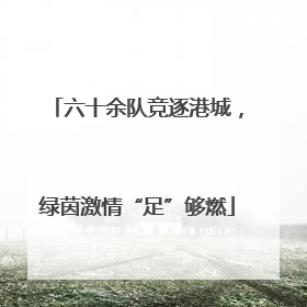 六十余队竞逐港城，绿茵激情“足”够燃