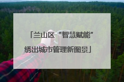 兰山区“智慧赋能”绣出城市管理新图景