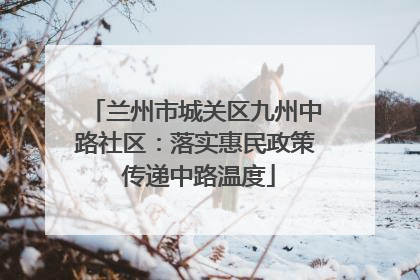 兰州市城关区九州中路社区：落实惠民政策 传递中路温度