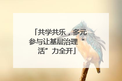 共学共乐，多元参与让基层治理“活”力全开