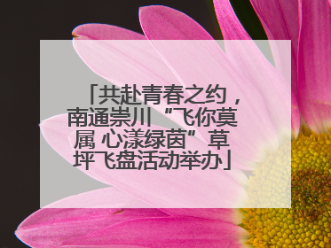 共赴青春之约，南通崇川“飞你莫属 心漾绿茵”草坪飞盘活动举办