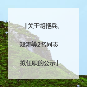 关于胡艳兵、郑涛等2名同志拟任职的公示