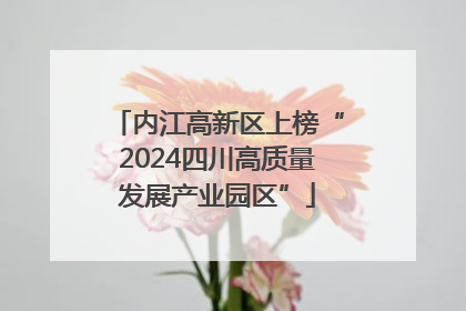 内江高新区上榜“2024四川高质量发展产业园区”