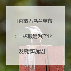 内蒙古乌兰察布：一杯酸奶为产业发展添动能