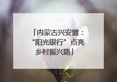 内蒙古兴安盟：“阳光银行”点亮乡村振兴路