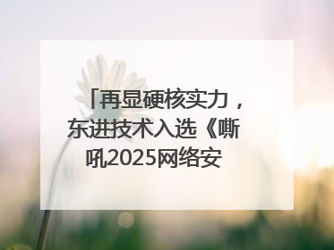 再显硬核实力，东进技术入选《嘶吼2025网络安全产业图谱》