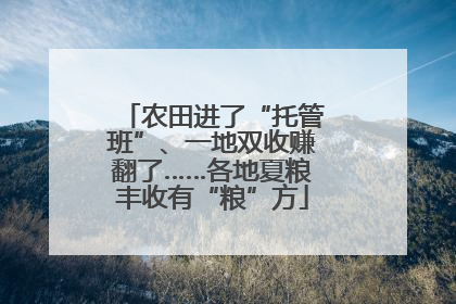农田进了“托管班”、一地双收赚翻了……各地夏粮丰收有“粮”方