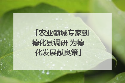 农业领域专家到德化县调研 为德化发展献良策