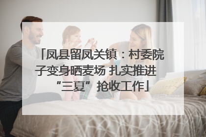 凤县留凤关镇：村委院子变身晒麦场 扎实推进“三夏”抢收工作