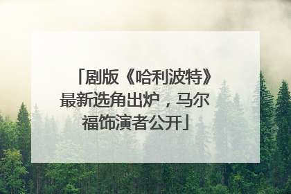 剧版《哈利波特》最新选角出炉，马尔福饰演者公开