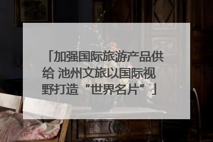 加强国际旅游产品供给 池州文旅以国际视野打造“世界名片”