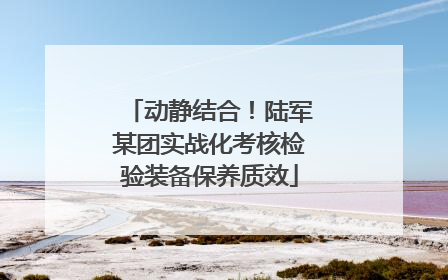 动静结合！陆军某团实战化考核检验装备保养质效