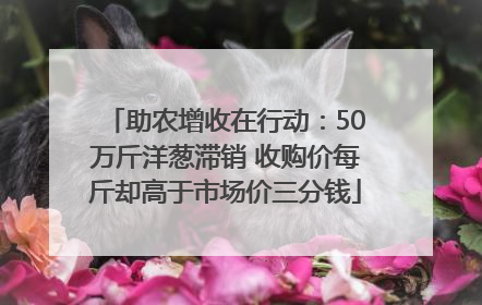 助农增收在行动：50万斤洋葱滞销 收购价每斤却高于市场价三分钱