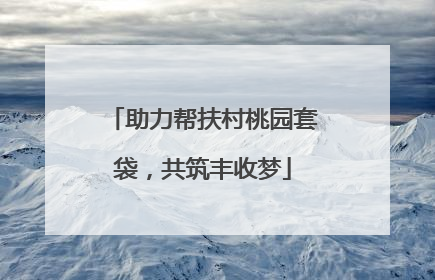 助力帮扶村桃园套袋，共筑丰收梦