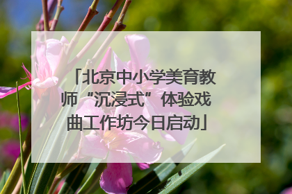 北京中小学美育教师“沉浸式”体验戏曲工作坊今日启动