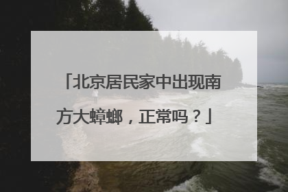北京居民家中出现南方大蟑螂，正常吗？