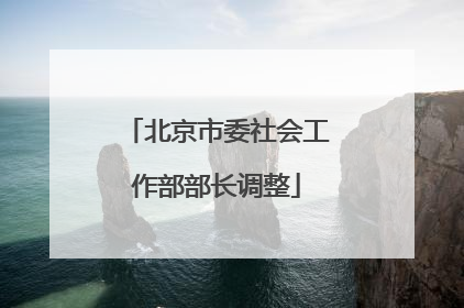 北京市委社会工作部部长调整