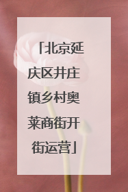 北京延庆区井庄镇乡村奥莱商街开街运营