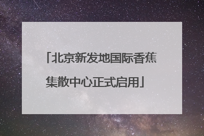 北京新发地国际香蕉集散中心正式启用