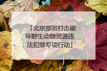 北京部署打击破坏野生动物资源违法犯罪专项行动