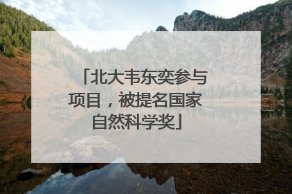 北大韦东奕参与项目，被提名国家自然科学奖