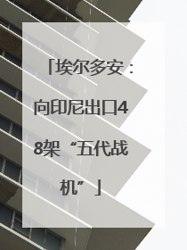 埃尔多安：向印尼出口48架“五代战机”
