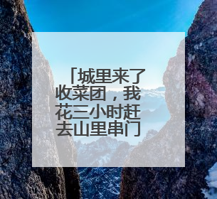 城里来了收菜团，我花三小时赶去山里串门，带回一群七旬村民的心愿