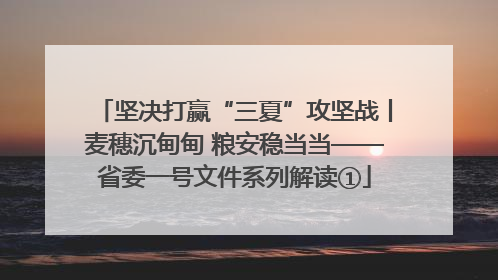 坚决打赢“三夏”攻坚战丨麦穗沉甸甸 粮安稳当当——省委一号文件系列解读①
