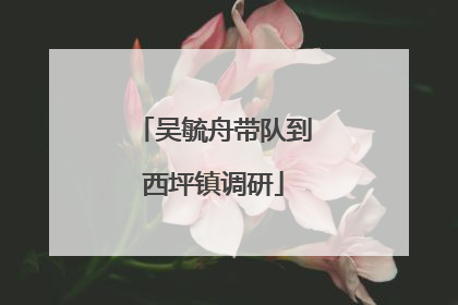 吴毓舟带队到西坪镇调研
