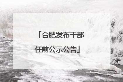 合肥发布干部任前公示公告
