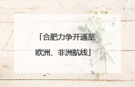 合肥力争开通至欧洲、非洲航线