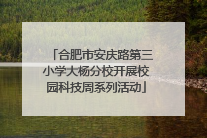 合肥市安庆路第三小学大杨分校开展校园科技周系列活动