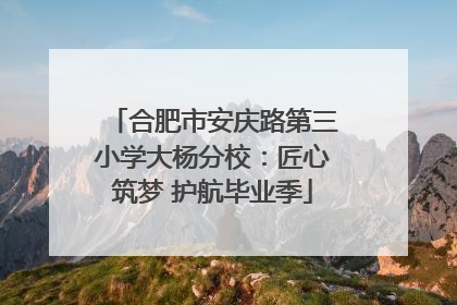 合肥市安庆路第三小学大杨分校：匠心筑梦 护航毕业季
