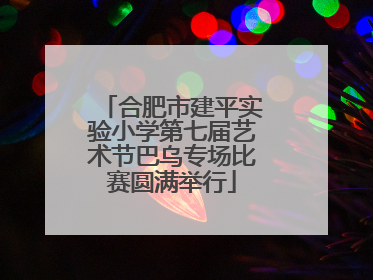 合肥市建平实验小学第七届艺术节巴乌专场比赛圆满举行
