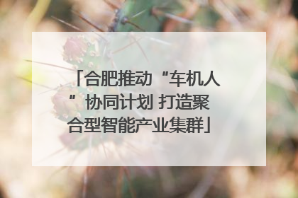 合肥推动“车机人”协同计划 打造聚合型智能产业集群