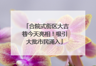 合院式街区大吉巷今天亮相！吸引大批市民涌入
