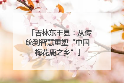吉林东丰县：从传统到智慧重塑“中国梅花鹿之乡”