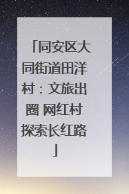 同安区大同街道田洋村：文旅出圈 网红村探索长红路